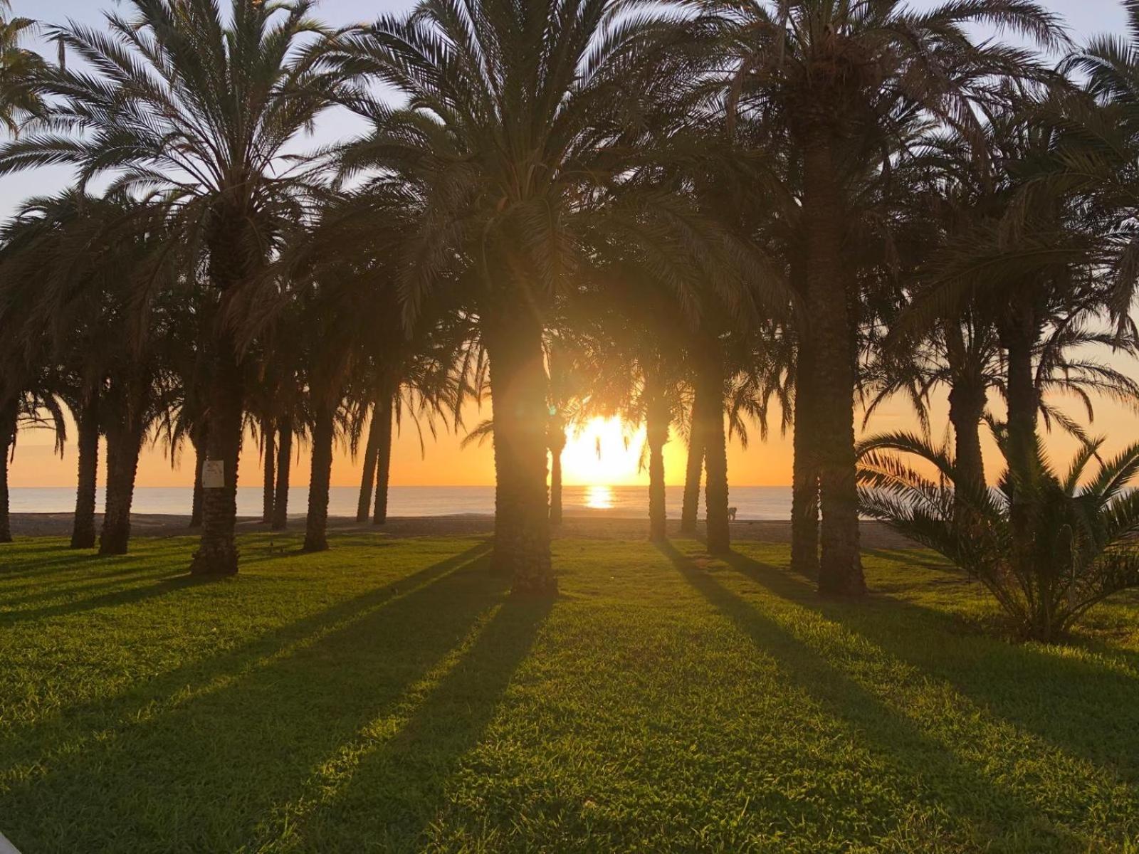 Apartamento Playamar - Torremolinos Primera Linea Playa 외부 사진
